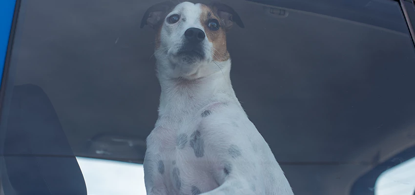 Car Lockout Solutions in Beverly Hills, California